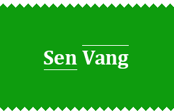 Sen Vang Sushi st nad Labem